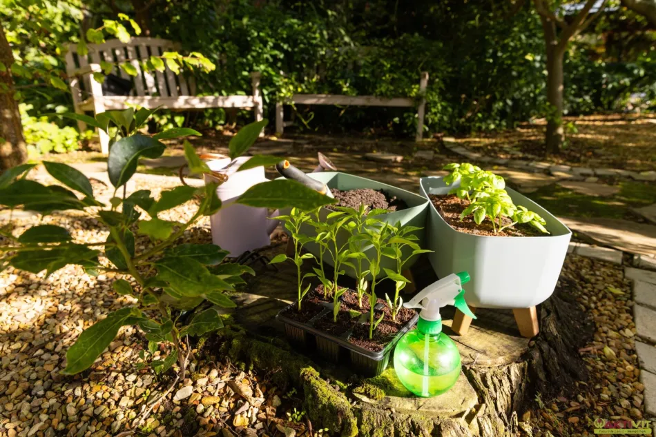 Kleingarten zur Pacht. - Neue Gartenanlage in Planung: Jetzt vormerken lassen! - Bild