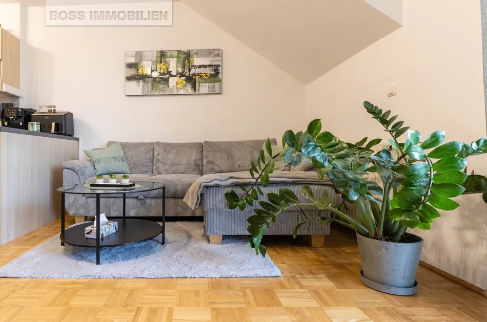 Begonia - Bild