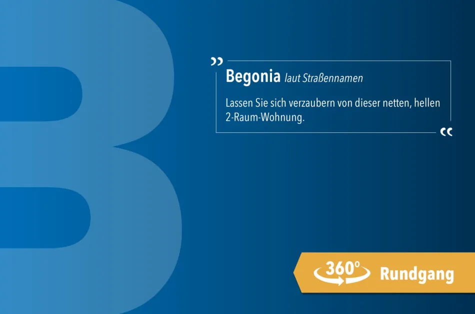Begonia - Bild