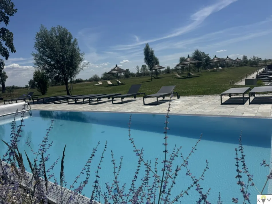 Wohnen, wo andere Urlaub machen – Exklusive Gartenwohnung direkt am Neusiedler See - Bild