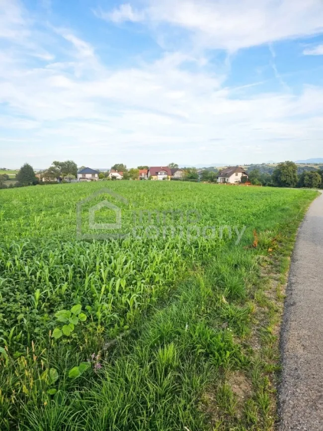 Attraktive Ackerfläche mit 3,6 ha in Kremsmünster - Bild