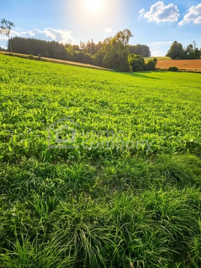 Attraktive Ackerfläche mit 3,6 ha in Kremsmünster - Titelbild
