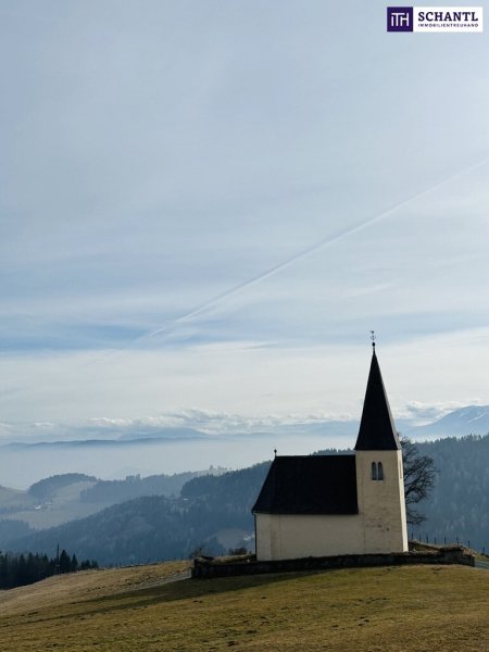 Almhaus mit Weitblick auf 1200 Seehöhe und absoluter Ruhelage zu verkaufen - SONNENLAGE - inkl. Sauna