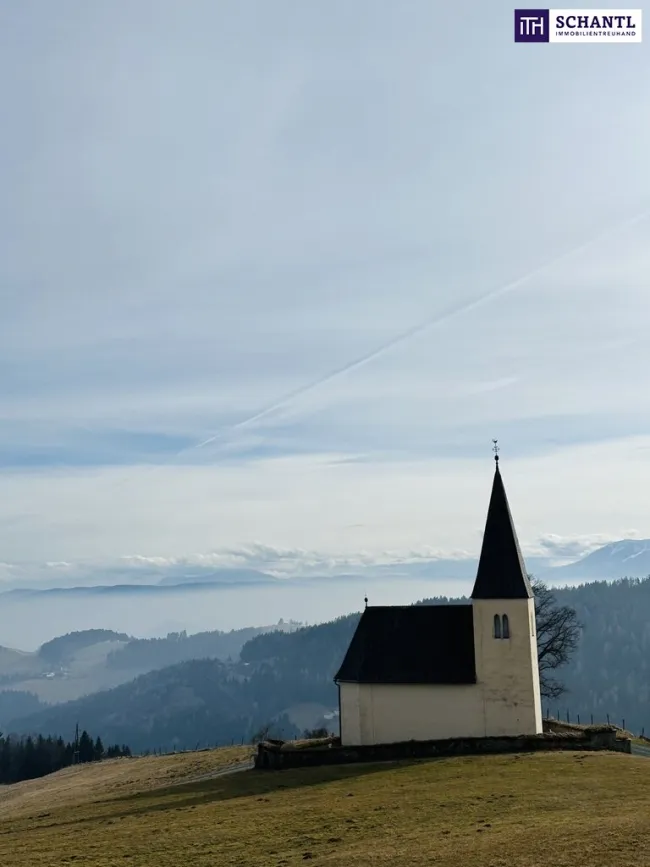 Almhaus mit Weitblick auf 1200 Seehöhe und absoluter Ruhelage zu verkaufen - SONNENLAGE - inkl. Sauna - Titelbild