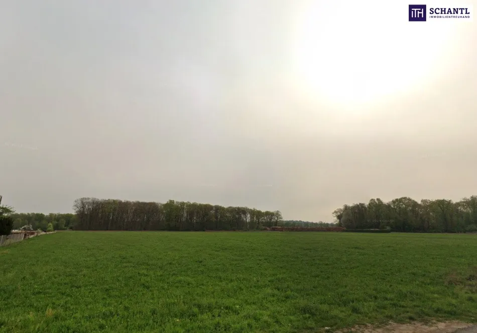 Riesen Potenzial - ca. 1h großes GEWERBEGRUNDSTÜCK 0,3 - 2,0 Dichte mit direkter Nähe zur Autobahn und zur Eisenbahn! Alternativen in der Umgebung auch verfügbar! - Titelbild