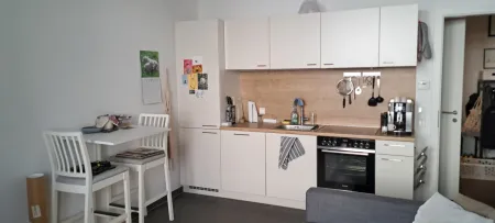 Sonnige, ruhige Mietwohnung mit großzügigem Balkon im Zentrum von Linz - Nahe Südbahnhofmarkt