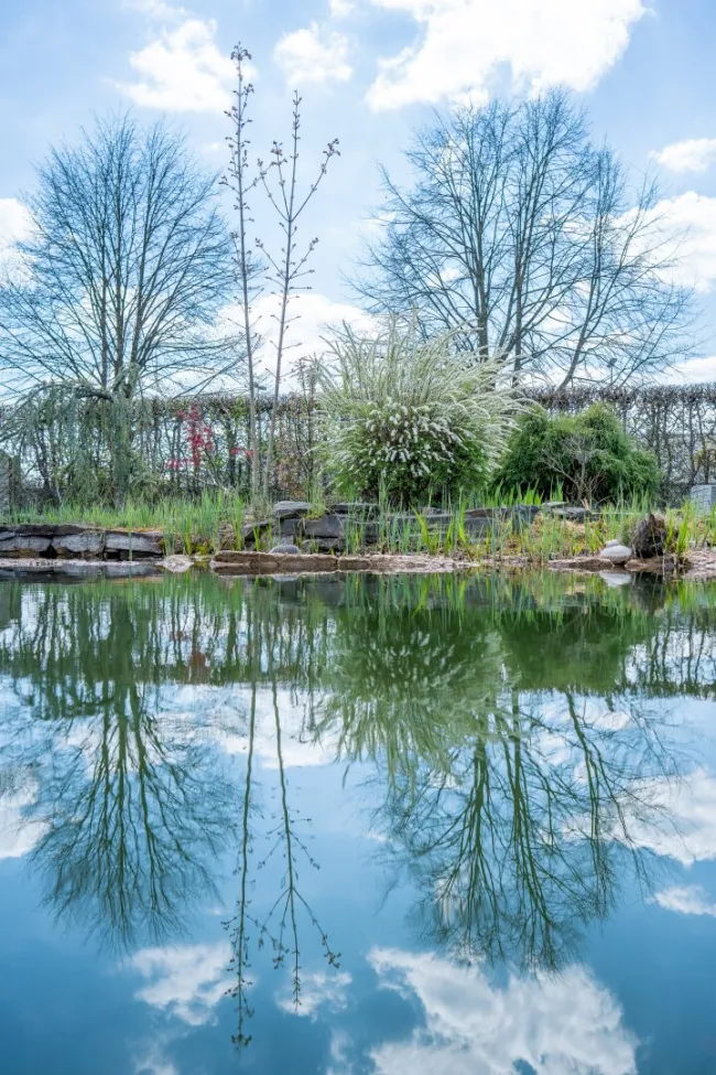 Wohlfühloase in Stainz - Bild