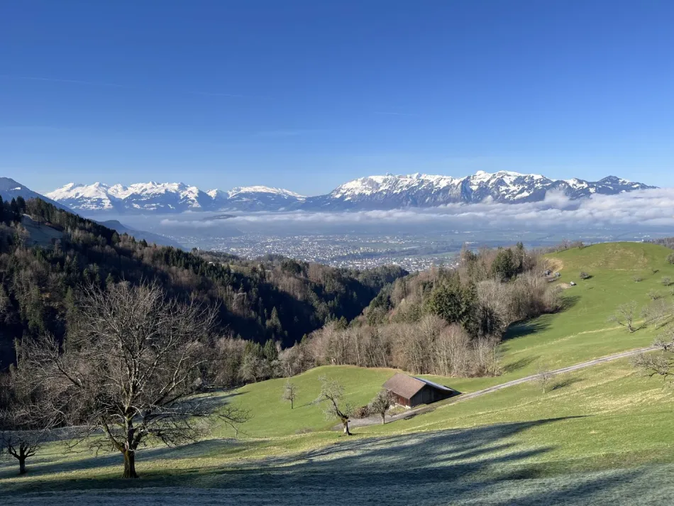 Baugrundstück in schöner Hanglage - Bild