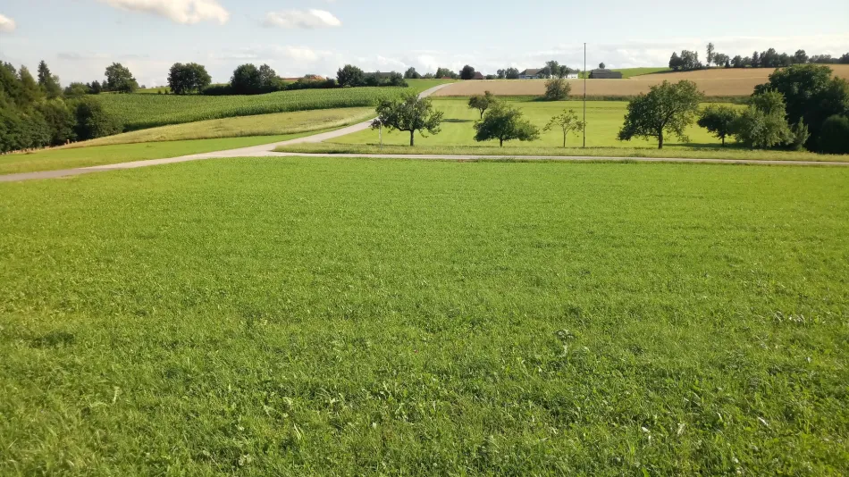 Richtung Süd-Westen