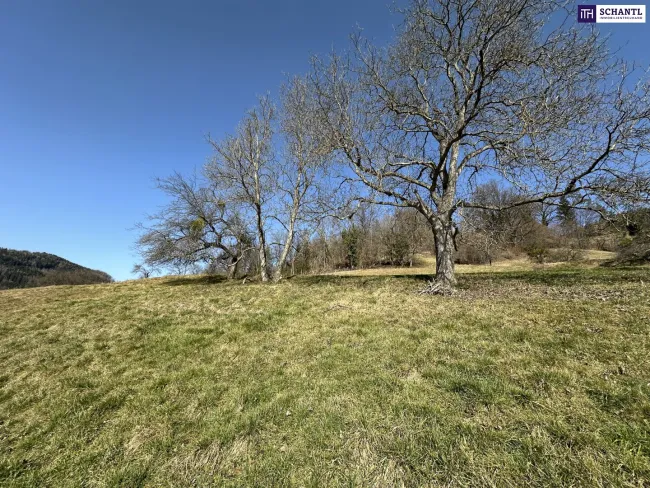 7 Parzellen verfügbar - Tolles Baugrundstück am Sonnenhang in Prenning bei Deutschfeistritz – 3.700 m², aufteilbar in 7 Parzellen - Titelbild
