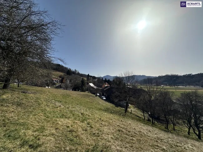 7 Parzellen verfügbar - Tolles Baugrundstück am Sonnenhang in Prenning bei Deutschfeistritz – 3.700 m², aufteilbar in 7 Parzellen - Bild