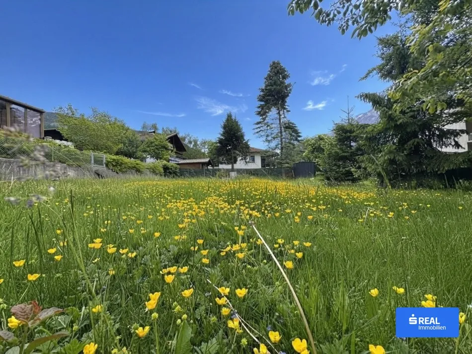 Sonnige Aussichten für Ihr neues Zuhause - Bild
