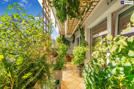 Loggia 2