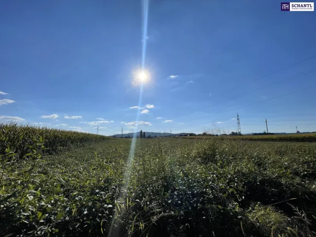 TOLLE GELEGENHEIT! Gewerbegrundstück für SIE - GEWERBEGRUNDSTÜCK 0,3 - 2,0 Dichte mit direkter Nähe zur Autobahn und zur Eisenbahn! - Titelbild