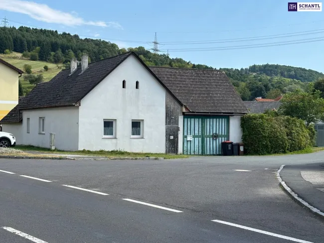 Tolle Gelegenheit - Landleben zum Einstiegspreis – Haus mit Garten & viel Potenzial! - Bild
