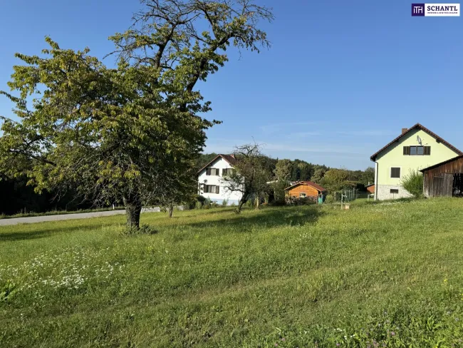 Traumgrundstück mit 913m² in Raaba-Grambach – Schöckl-Blick, Fernblick & Ruhelage - Titelbild