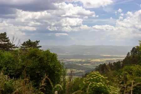 Blick über das Steinfeld