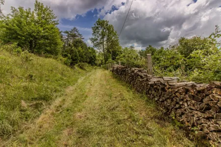 Weg zum Wald und zu den Nachbarn