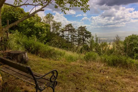 Nachdenk-Bankerl mit Weitblick