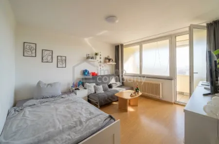 Charmantes 1-Zimmer Apartment in Salzburg, 4,25% Rendite