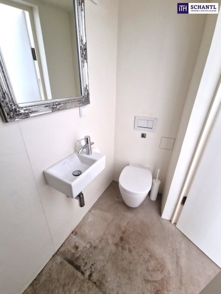 ** Altbaujuwel in Hietzing – Belagsfertig & vielseitig nutzbar - Ob als stilvolle Kanzlei oder charmantes Zuhause - Dieses Haus bietet Ihnen vielfältige Möglichkeiten **