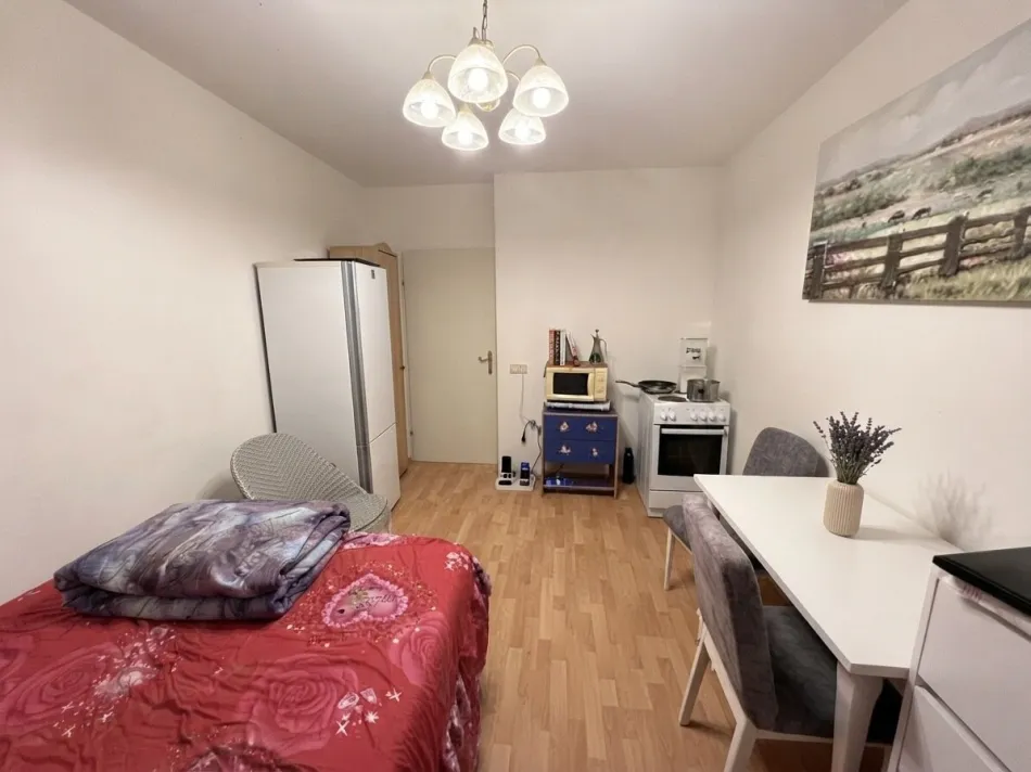 FIXPREIS – Leistbare 1-Zimmer-Wohnung im Erdgeschoss in Wels. - Titelbild