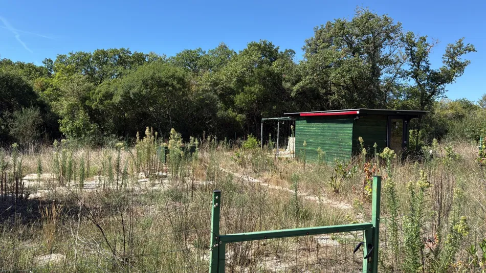 Grundstück für Mobilheim in Barbariga – nur ca. 200 m vom Meer - Bild