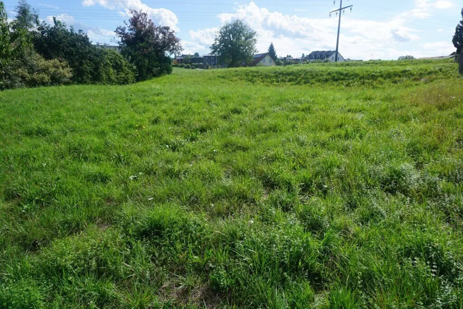 Baugrund - zur Gänze erschlossen - kein Bauzwang - Bild