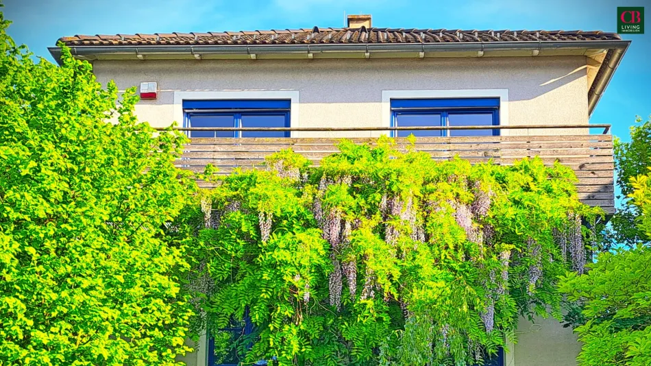 Exklusive Villa im Sachsenviertel mit Stiftsblick - Bild