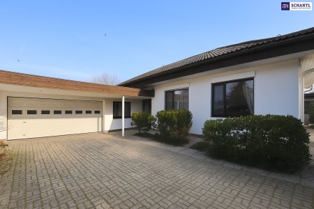 Bungalow mit Indoor-Pool, Weinkeller & außergewöhnlich großem Grundstück / Eigengrund