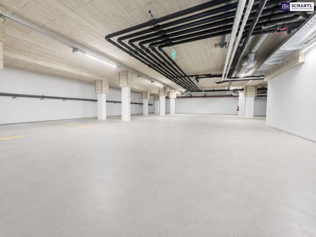 Attraktives Paket aus Lagerfläche & Garagenplätze im Zentrum von Schwechat: nahe zum Bahnhof und zum Hauptplatz!
