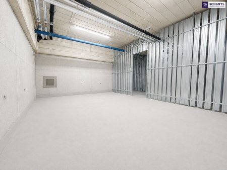 Attraktives Paket aus Lagerfläche & Garagenplätze im Zentrum von Schwechat: nahe zum Bahnhof und zum Hauptplatz!