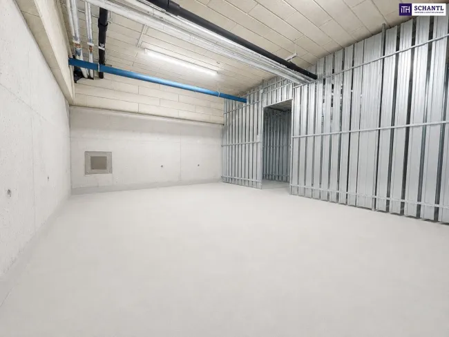 Attraktives Paket aus Lagerfläche & Garagenplätze im Zentrum von Schwechat: nahe zum Bahnhof und zum Hauptplatz! - Bild