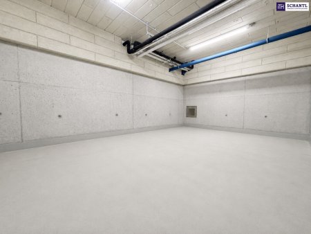 Attraktives Paket aus Lagerfläche & Garagenplätze im Zentrum von Schwechat: nahe zum Bahnhof und zum Hauptplatz!