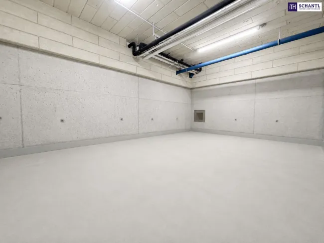 Attraktives Paket aus Lagerfläche & Garagenplätze im Zentrum von Schwechat: nahe zum Bahnhof und zum Hauptplatz! - Bild