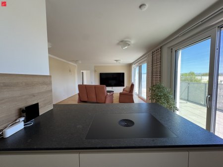Modernes Wohnjuwel mit Dachterrasse und perfekter Küche. Erstbezug