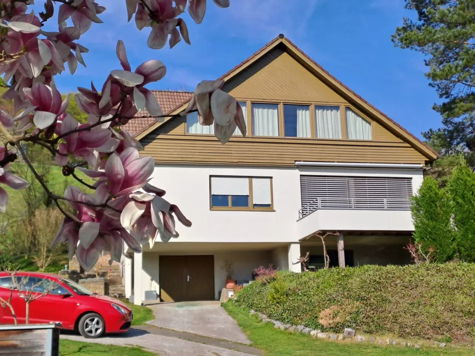 Großzügig wohnen in sonniger Aussichtslage – modernisiertes Haus mit ca. 225 m² Wohnfläche - Bild