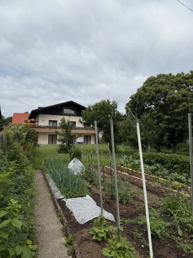 Sichere Kapitalanlage mit späterer Eigennutzung - Bild