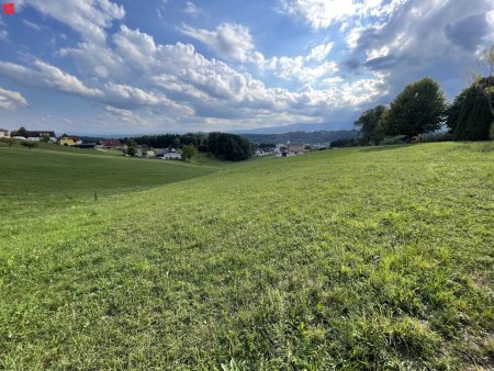 Wow! Was für eine Aussicht!