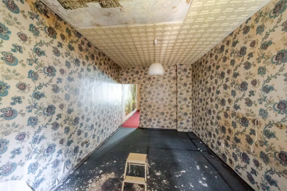 Entkernte Altbau-Perle mit 48,70m² am Kalvarienberggürtel – Ihr Projekt wartet! - Bild