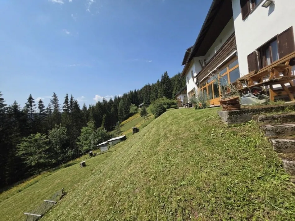 Großzügiges Landhaus auf der Wiedneralm – viel Platz, Natur und vielseitige Nutzungsmöglichkeiten - Bild