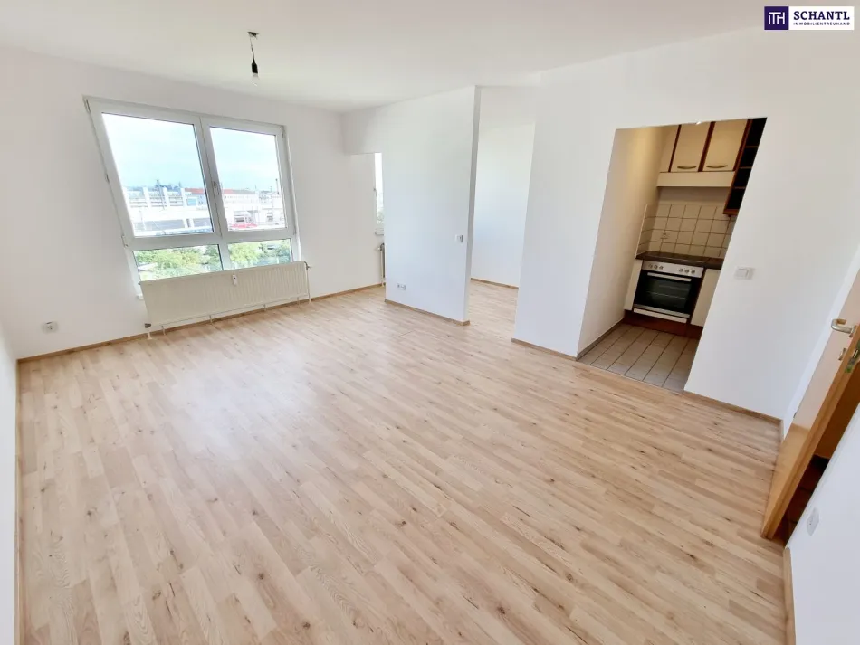 Cashflow to go! Wohnungspaket mit Mehrwert für Investoren! aufgepasst! Ca. 4,3% Rendite (i.E.) + 4 attraktive Neubauwohnungen + Befristet vermietet oder leer! - Bild