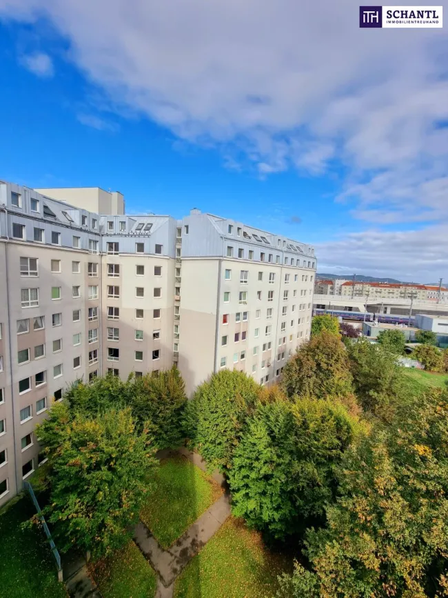 Cashflow to go! Wohnungspaket mit Mehrwert für Investoren! aufgepasst! Ca. 4,3% Rendite (i.E.) + 4 attraktive Neubauwohnungen + Befristet vermietet oder leer! - Bild
