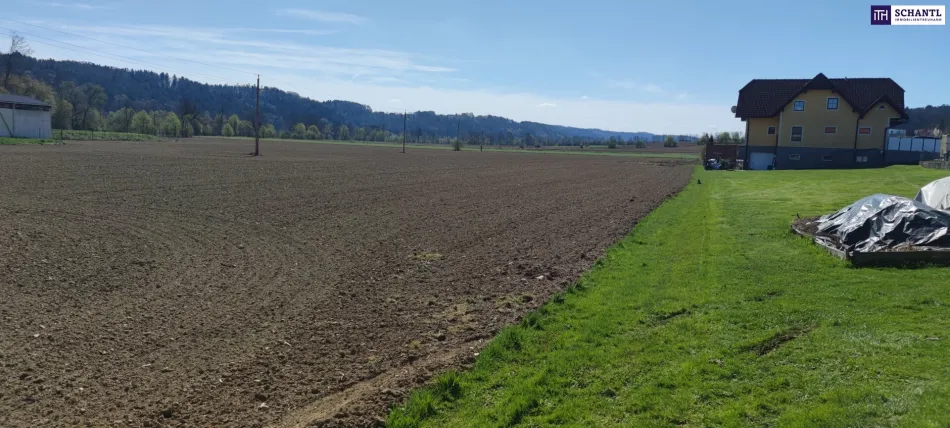++GEWERBEGRUNDSTÜCK ca. 20.0000 m² im GROßRAUM von GRAZ und LEIBNITZ++ PERFEKTE VORRAUSSETZUNGEN für BETRIEBSANSIEDLUNG gegeben++ BD 0,2 - 0,6++ - Titelbild