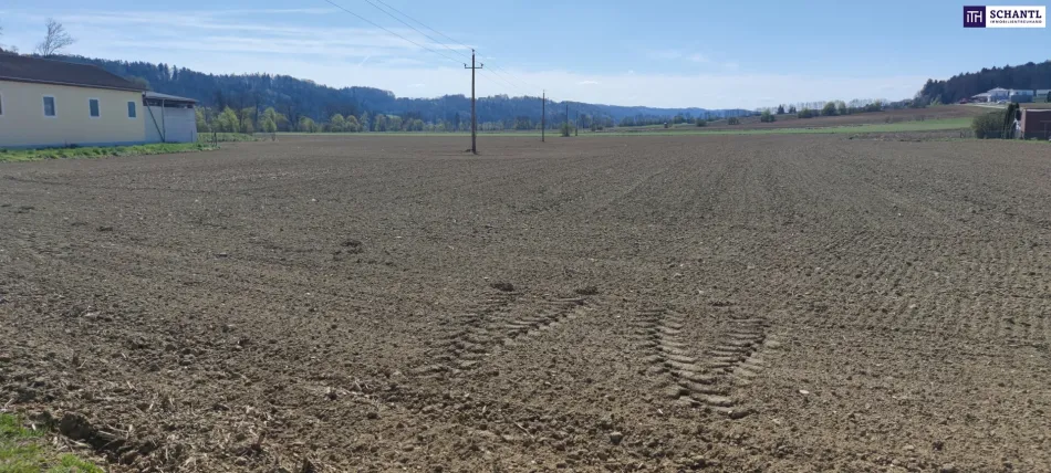 ++GEWERBEGRUNDSTÜCK ca. 20.0000 m² im GROßRAUM von GRAZ und LEIBNITZ++ PERFEKTE VORRAUSSETZUNGEN für BETRIEBSANSIEDLUNG gegeben++ BD 0,2 - 0,6++ - Bild