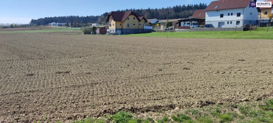 ++GEWERBEGRUNDSTÜCK ca. 20.0000 m² im GROßRAUM von GRAZ und LEIBNITZ++ PERFEKTE VORRAUSSETZUNGEN für BETRIEBSANSIEDLUNG gegeben++ BD 0,2 - 0,6++ - Bild