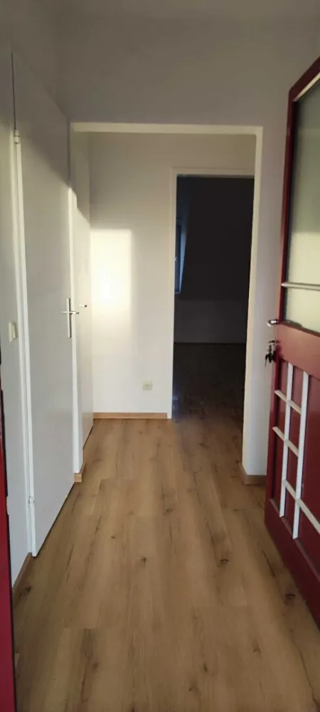 Freundliche 1-Zimmer-Wohnung mit Schöcklblick & neuer Küche und neue Böden - Bild