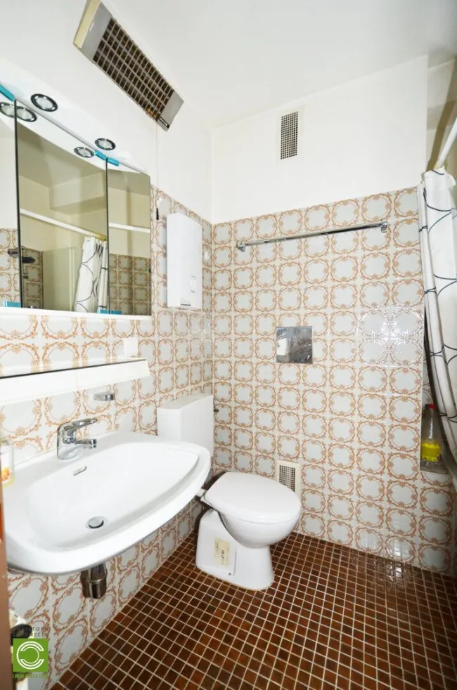 CHRISTOPH CHROMECEK IMMOBILIEN - MÖDLING - Großzügige Einraumwohnung in Zentrumsnähe! - Bild