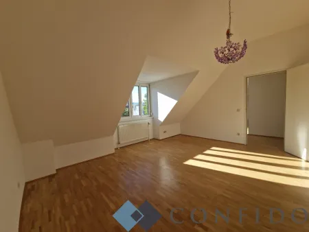 Zimmer 1