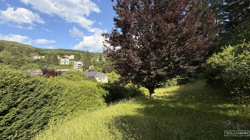 BAUGRUNDSTÜCK IN MAUERBACH – 4.242 m² IN RUHIGER HANG- UND GRÜNLAGE MIT ENTWICKLUNGSPOTENZIAL | MIT ALTBESTAND | ZELLMANN IMMOBILIEN - Bild